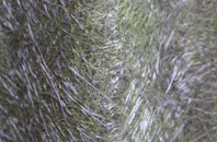 Netherthong fibreglass roof work